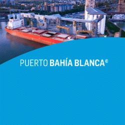 Puerto-350x350-F (1)